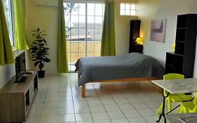 Apartment Studio Halfon